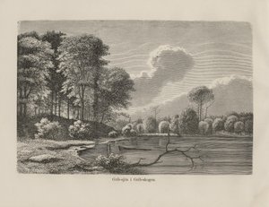 Illustrazione tratta dal libro Nordiska taflor di autore sconosciuto